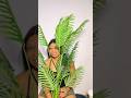Let’s set up my green plant together 🥰 #greenplants #contentcreation #aesthetic #youtubeshorts