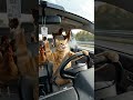 cat sitting on the driver sheet #cat #cat #viralvideo #funny #catvideos #cute