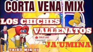 los chiches vallenatos corta vena mix Tairo Mix Dj