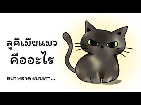 ลูคีเมียแมวและ FIP คืออะไร
