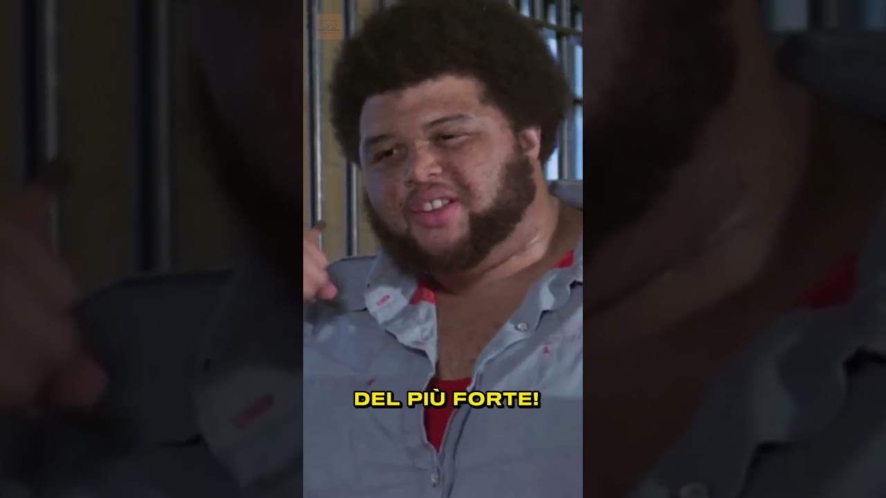 Qui dentro vale la legge del più forte 😂 Bud Spencer nel film Chissà perché capitano tutte a me