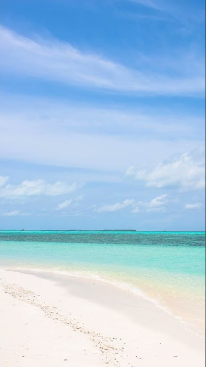 angel / maybe #shorts