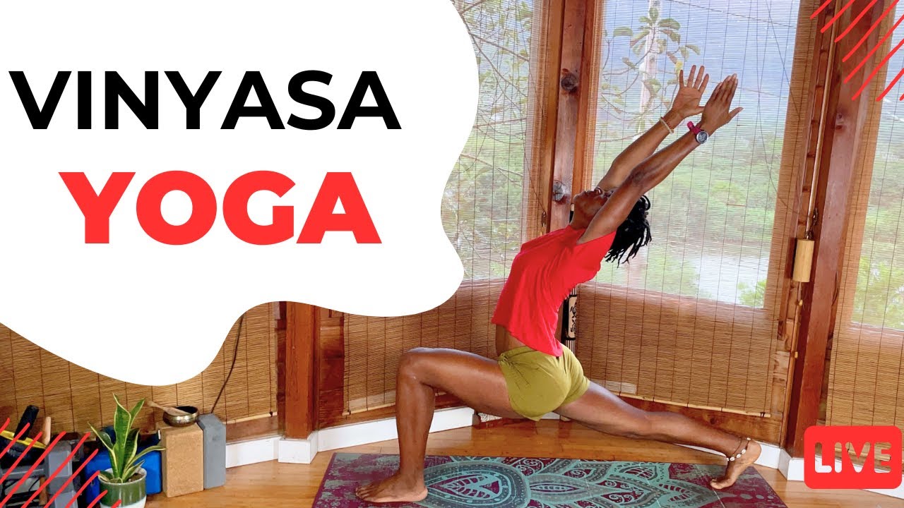 Dynamic Yoga 30 MINUTES Dynamic Vinyasa Yoga Flow - YouTube