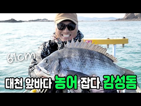 <strong>대천</strong> 앞바다 농어 잡다 감성돔/ スズキ チヌ 釣り/ boat seabass Bream fishing