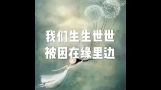 201807 我们生生世世被困在缘里边50562