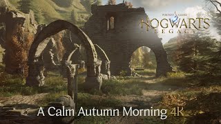 Hogwarts Legacy (Multi): Um fim de tarde de inverno é o novo novo video  de ASMR na escola de magia - GameBlast