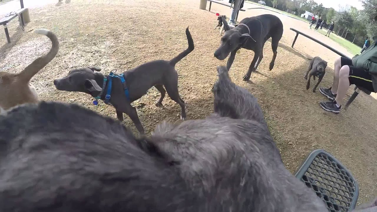 Bill Archer Nov7 2015 YouTube