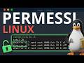 Permessi Linux come cambiare e gestire il proprietario di file e cartelle