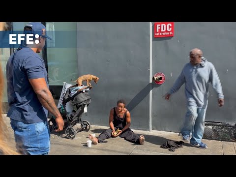 The Pets of Skid Row in Los Angeles: The Other Side of the Homelessness Crisis