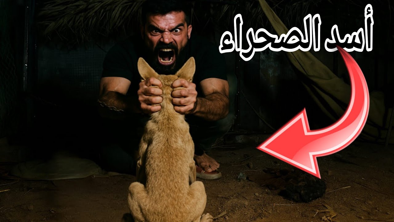 ملك الصحراء 🐺بين ايدي #فرات_الصياد 😱