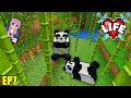 Minecraft X Life SMP Ep7 - I found Lizzie's Panda research centre!