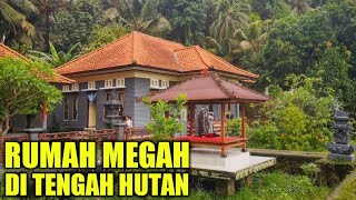 BERHENTI MENJADI PEGAWAI DAN MEMILIH TINGGAL DI TENGAH HUTAN