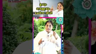 Salt and Water Ritual | BK Sheeba  2