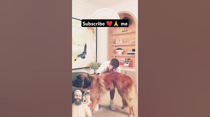 Holding Bigger And Bigger Dogs| @mrbeast #greenscreen #mrbeast #shorts #trending