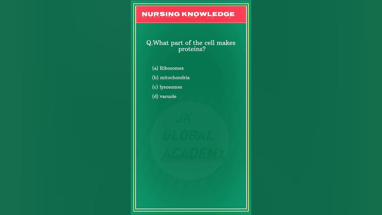 what-part-of-cell-makes-protein-nursing-youtube