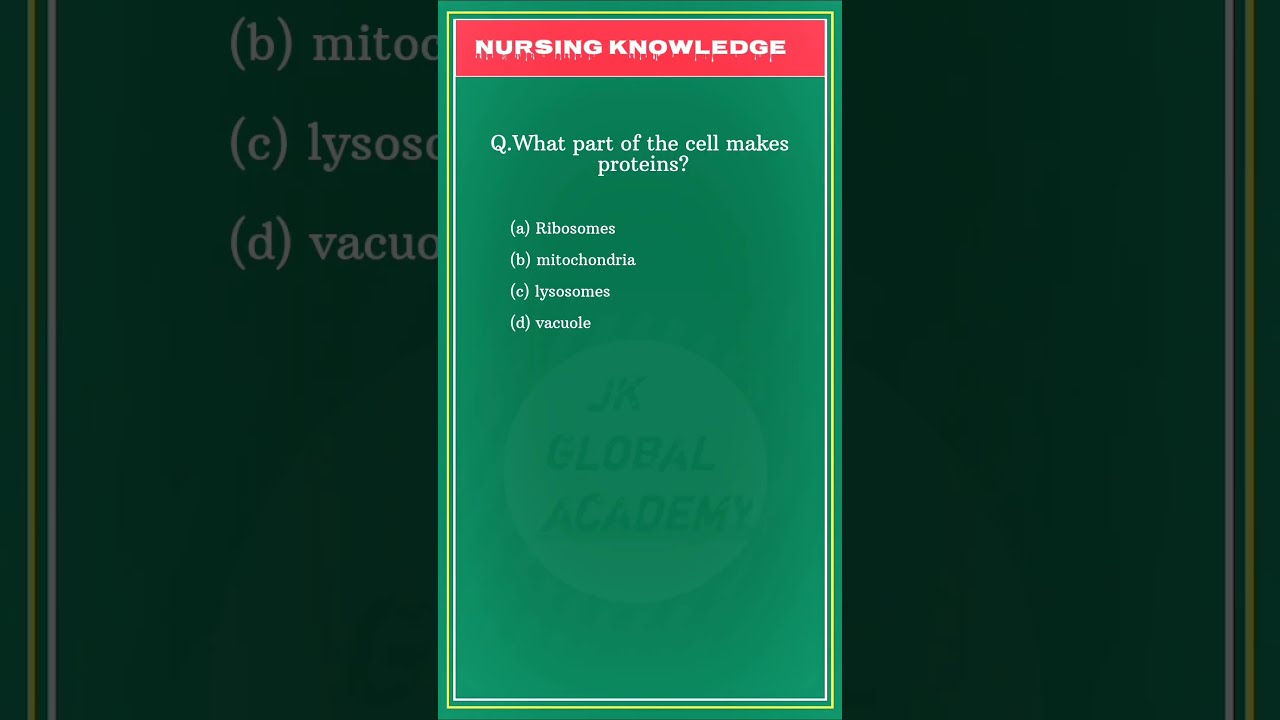 What Part Of Cell Makes Protein nursing YouTube What Part Of Cell Makes Protein nursing YouTube
