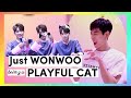 Just Wonwoo being a PLAYFUL CAT 🐈