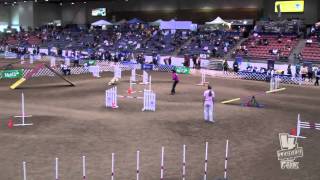 AKC National Agility Championship 2012 - Sam the Man    3/30/12