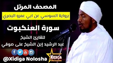 سورة العنكبوت برواية السوسي عن ابي عمرو، للقارئ الشيخ (عبدالرشيد ابن الشيخ على صوفي)
