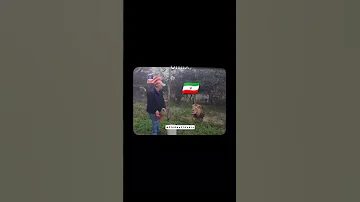 Ok Iran Usa Esrael Soudiarabia Viralvideo 