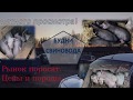 Рынок поросят/цены на поросят/породы поросят!