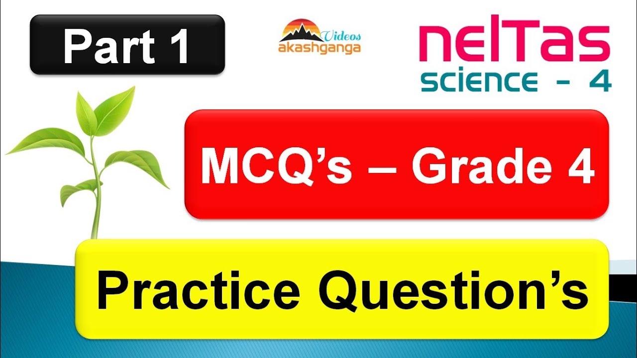 plants-s-cat-exam-neltas-grade-4-science-youtube
