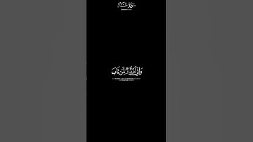 كروما "وإني لغفار لمن تاب وءامن وعمل صالحا ثم اهتدى" القارئ 🎙️ شريف مصطفى 🤍 #غزة #palestine #فلسطين