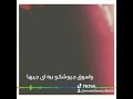 مصنف محارب 
