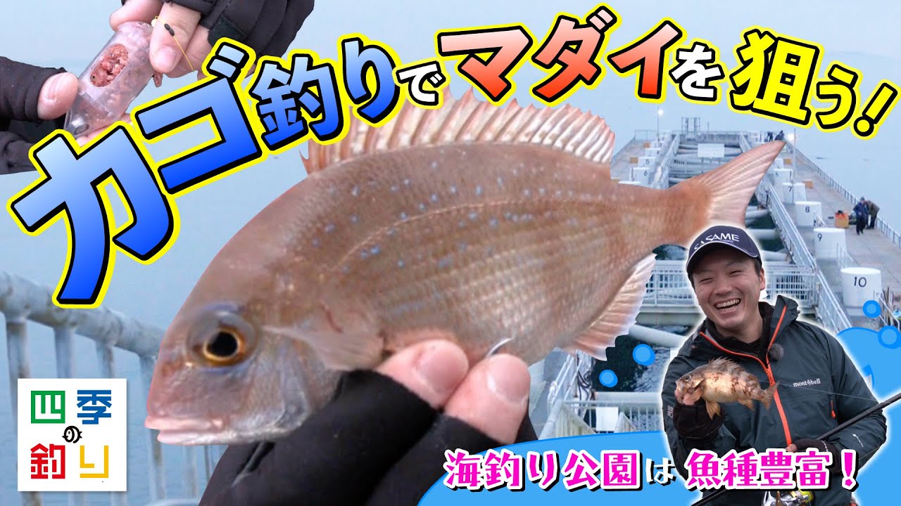 ささめムービー | ムービージャンル | 釣り｜海釣り仕掛｜渓流仕掛