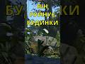 ВІН РУЙНУЄ БУДИНКИ 🌿 SOLO RUST/ СОЛО РАСТ #shorts #rustукраїнською #rustgame #rust