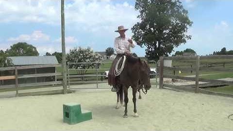 Opening a Gate Horseback