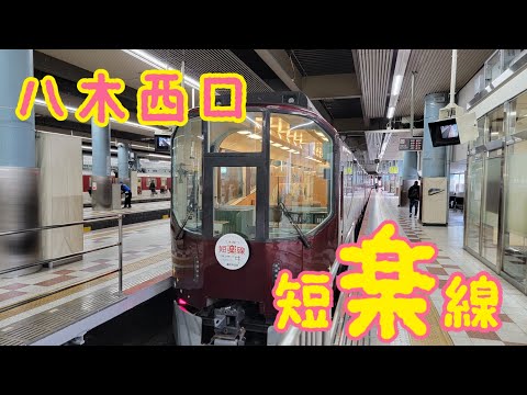 【近鉄】ひなぷー&つつじーの短楽線が出現したので見に行きました