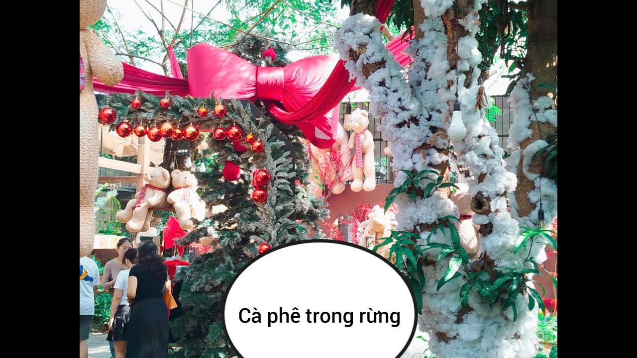 Khám phá Cafe Nhà Phạm Trong rừng.Discover Pham's Cafe in the forest.