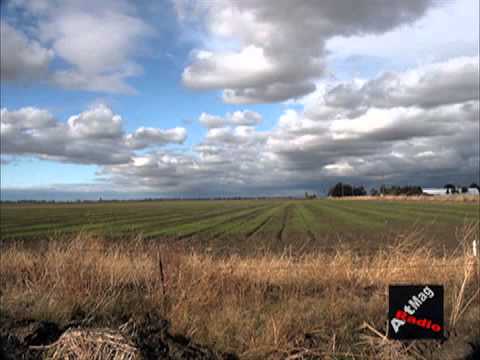 C SHARP MOKEKI-JOSHUA'S HOUSE BIRTHDAY SPECIAL SMR-H.264 800Kbps.mov