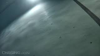 Chasing Dory first dip P1
