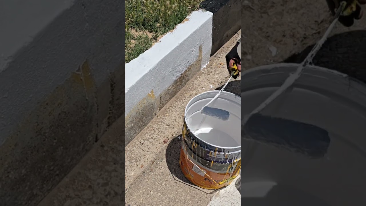 Street Curb Beautification: Step by Step Guide to Painting and Design