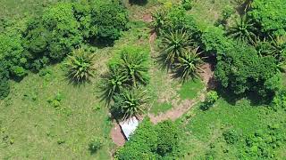 Finca Juan Pablo 5