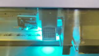 Flatbed Printer Printing