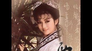 西施Xi Shi浣溪纱Silk-washing Stream 馮寶寶