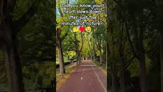 Feel at home by Eleonora's Walks ♥️