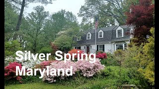 Washington D.C. Metropolitan area streets walking Silver Spring Maryland (MD) walking USA