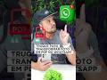 Segredo no WhatsApp: Converta Fotos em PDF 📸