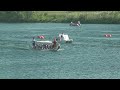 Canadian Dragon Boat Championships 2014 ★ Race 65 ★ Phoenix Évolution, PDBC Premier Mixed, Warriors,