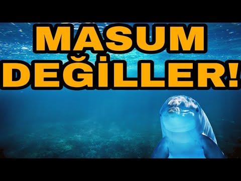 Video: Yüksek Manatee, Yunus Ölümleri Bulmacası ABD Yetkilileri