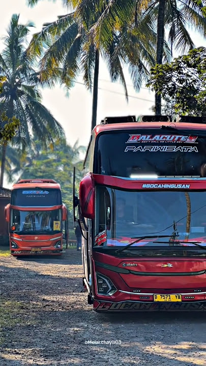 Story'WA bus JANGGULE TRANS DALACUTES mboiss 30 detik