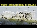 Saking Dinginnya, Ikan Melompat Langsung Beku di Udara | Kejadian Aneh Ikan ini Smepat Bikin Gempar