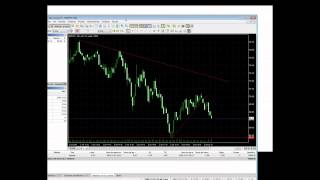 Forex backtest 99