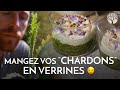 Recette de verrines aux chardons ou cirses