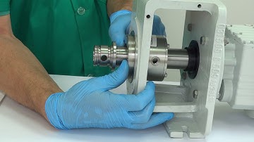 NETZSCH uNS-Seal® Inverted Mechanical Seal Assembly on Drive
