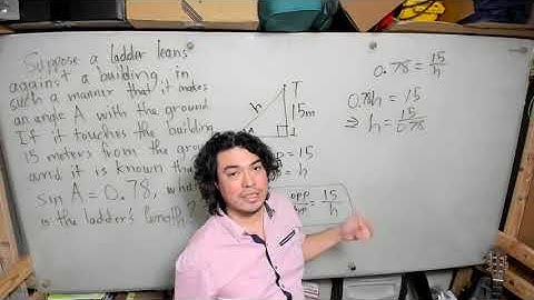 Video 2: Ladder Problem